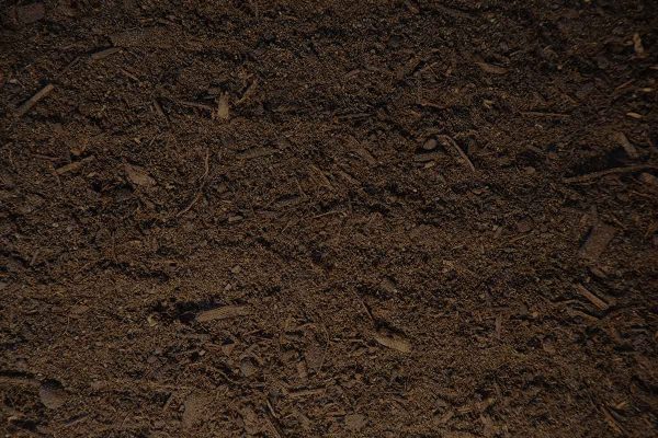 soil